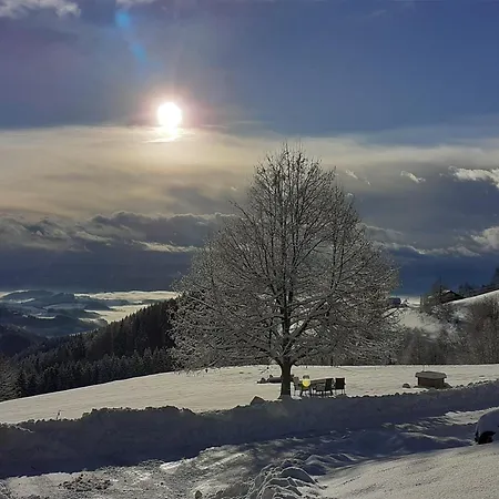 Ferienhaus Urlaub Im Blockhaus Diex