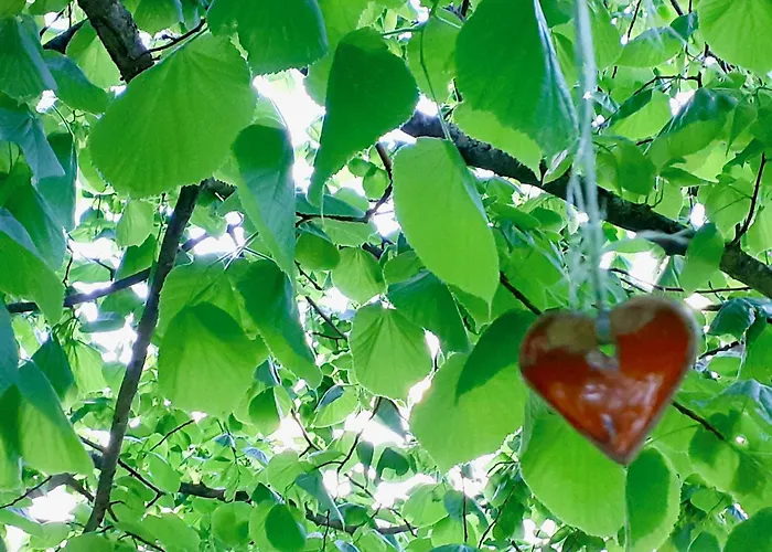 Σπίτι διακοπών Urlaub Im Blockhaus *
