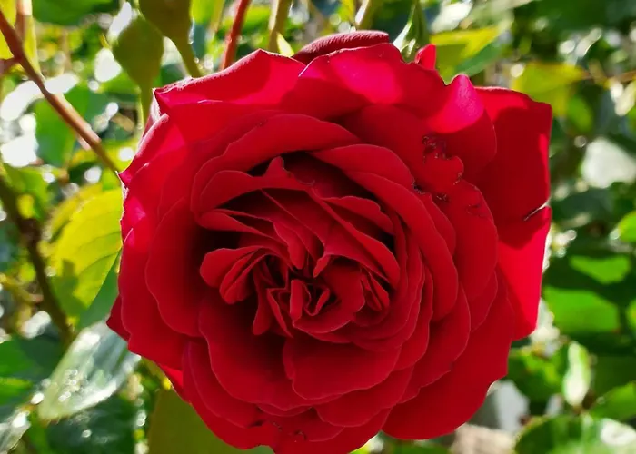 Urlaub Im Blockhaus Diex