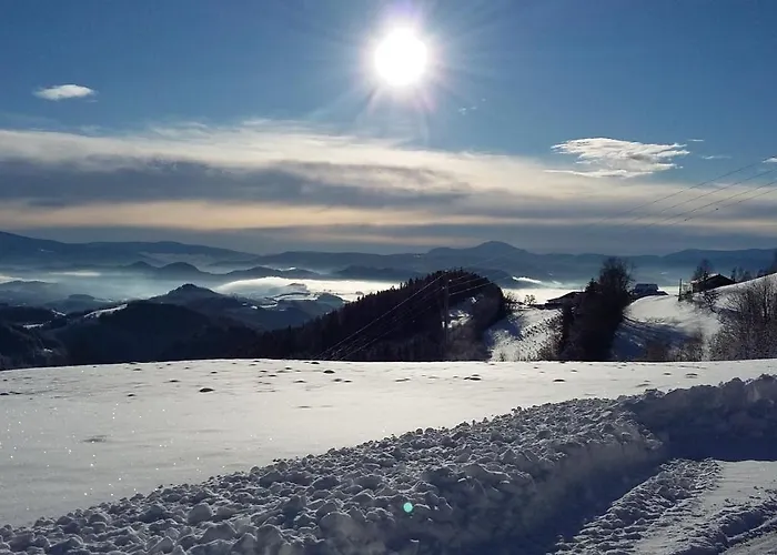 Urlaub Im Blockhaus *